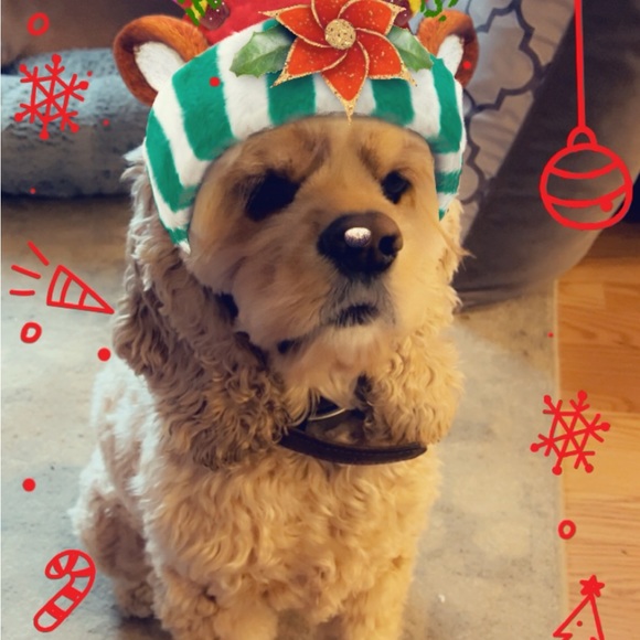 Meet your Posher, Jeanie - Picture 8 of 16